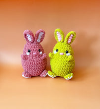 Load image into Gallery viewer, Bun Bun the Bunny Crochet Pattern