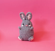 Load image into Gallery viewer, Bun Bun the Bunny Crochet Pattern