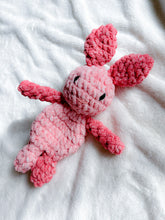 Load image into Gallery viewer, Baby Boho Bunny Snuggler